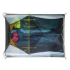 NEMO Dragonfly OSMO™ 3P tent