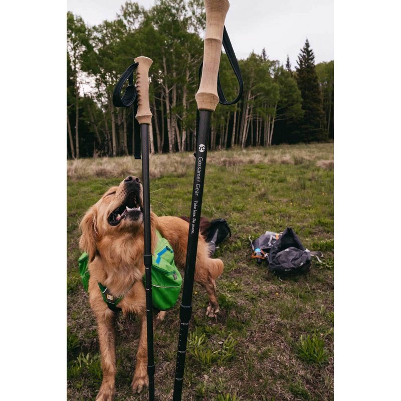 LT5 Three Piece Carbon Trekking Poles by Gossamer Gear – Garage Grown Gear