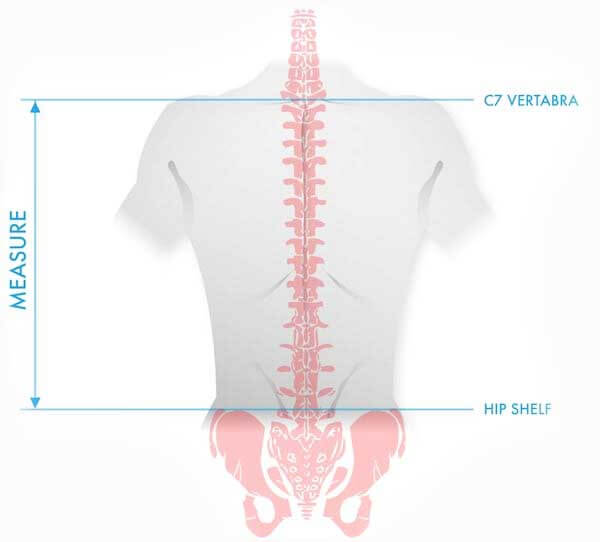 measure torso length