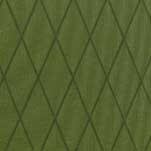 X-Pac Olive